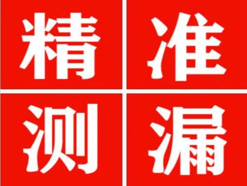 仪征尚嘉漏水精准查找